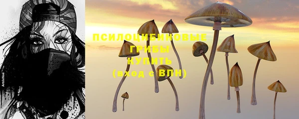 сатива Арсеньев