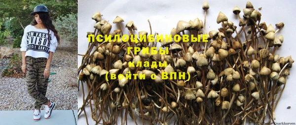 метадон Армянск