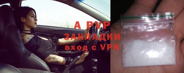 сатива Арсеньев